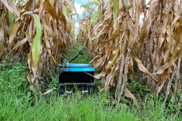 AI Helps Farmers Kill Weeds