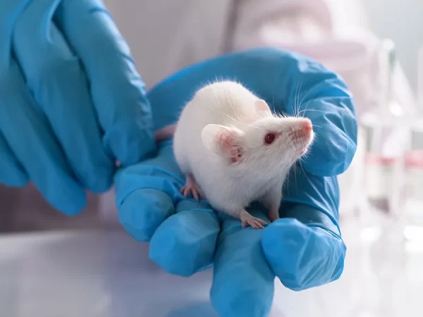 Animal testing is unethical