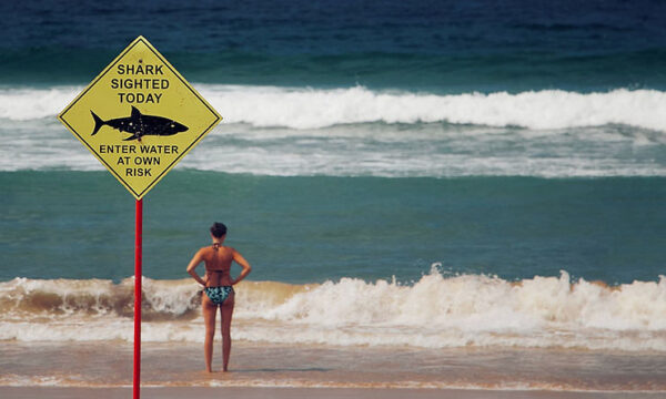 N.Y beach increase intensity in shark patrol