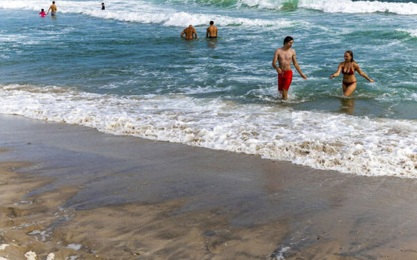 Beaches Ramp Up Shark Control