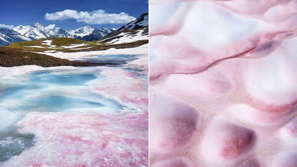 Watermelon Snow” Transforms Utah Mountains into Shades of Pink and Red