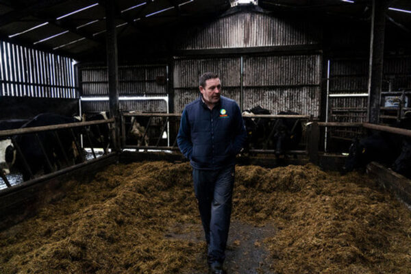 How Irish Farmers Are Saving the Corncrake’s Cry