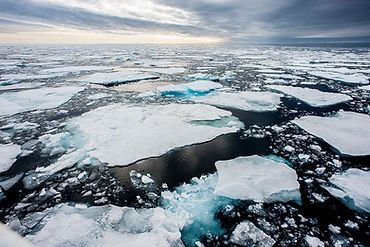 Melting Ice Caps Release Harmful Pollutants