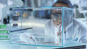 Is Animal Testing Ethical?