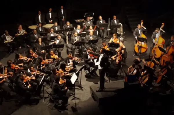 Orchestras in the US Embrace Diversity, but Black Musicians Remain Underrepresented