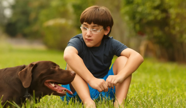 Beneficial learning from pets to kids