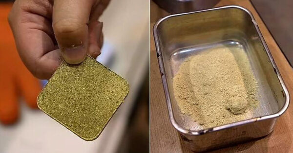 Food Waste Turned Into Edible Cement