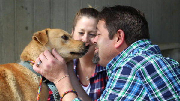 Family and Dog Reunited at Last