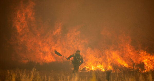 Heatwaves in Europe and the Damage They are Causing