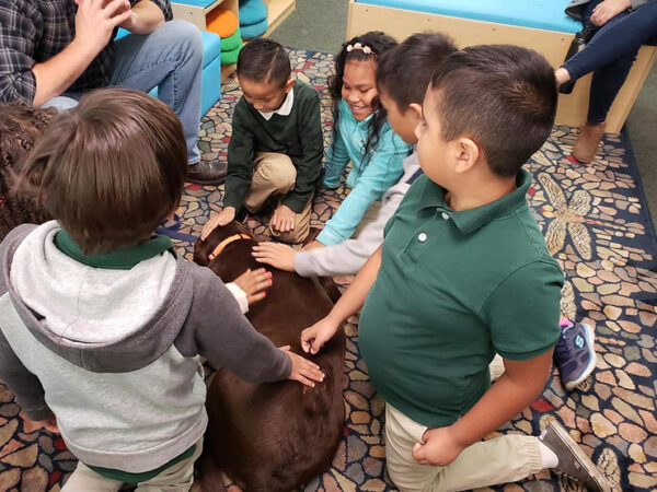 Calming Dogs at School