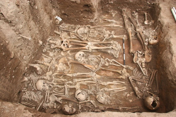 The researchers found a key “evidence” to the mystery of the origin of the Black Death.