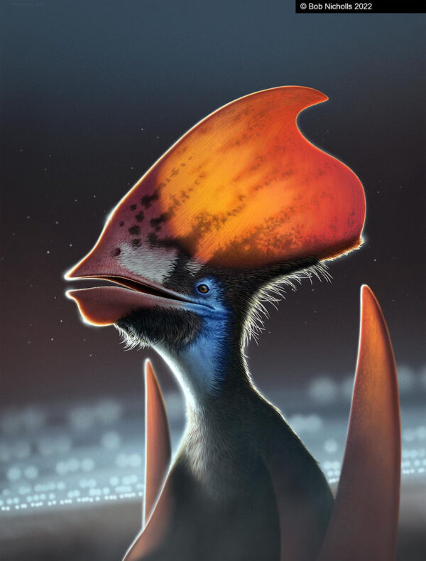 Scientists Discover that Pterosaurs had Colorful Feathers