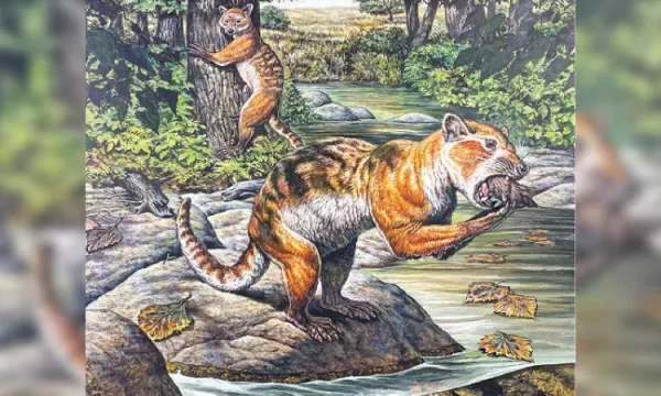 This Animal May Have Went Extinct due to its Appetite