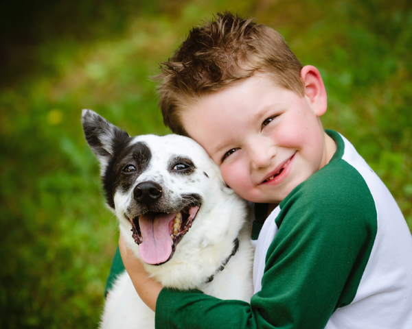 Research Conclude Pets Give Children Brain Boost