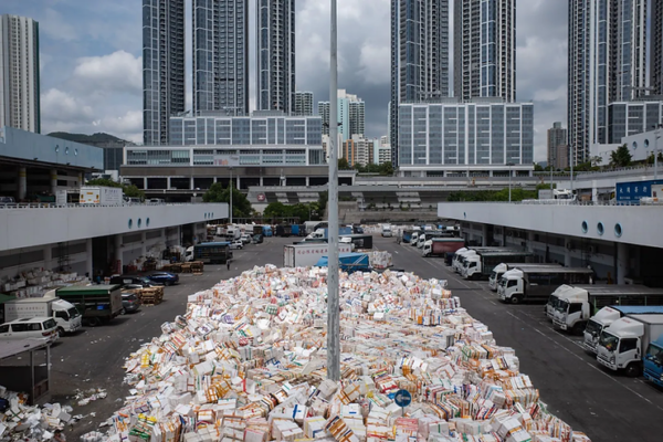 This worm could help solve the world’s garbage crisis