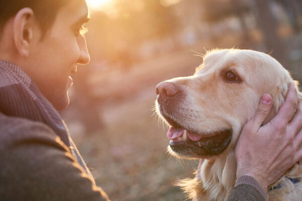 Pets Make You Smarter?