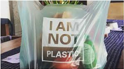 Should Plastic Bags be Banned?