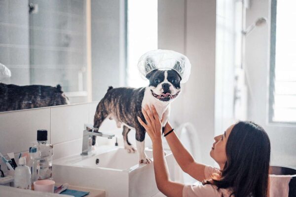 Do Pets Really Need to be Pampered?