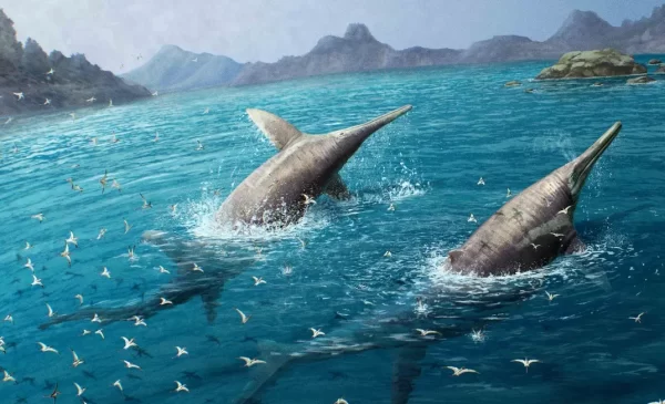 11-Year-Old Girl Finds New Fossil of the Largest Marine Reptile