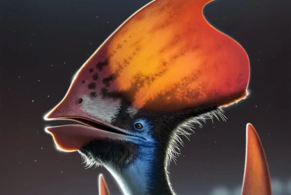 A new species of pterosaur with huge tongues was discovered in Australia