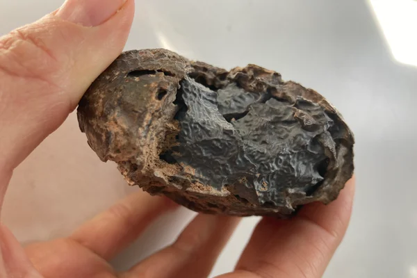 Scientists Trace Decade-Old Meteorite