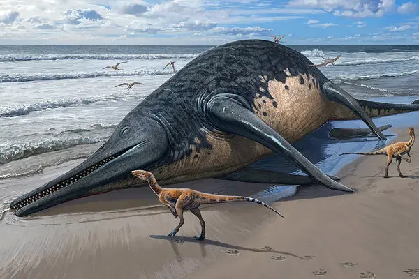 11-Year-Old Finds Ichthyosaur Fossil