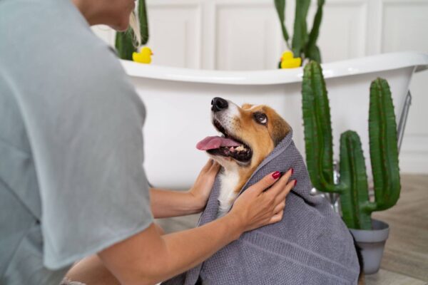 The Truth Behind Pampered Pets