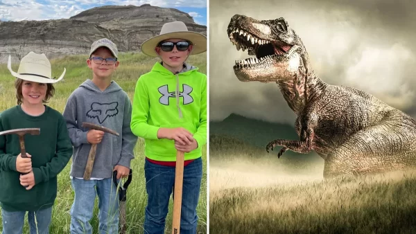 3 Young Explorers Discovers Dinosaur  Bones