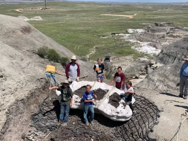 Teens find juvenile T-rex fossils