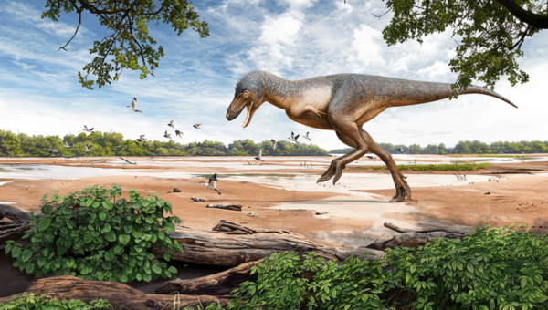 57- Million Year Old Fossil of Juvenile T. Rex Uncovered by Three Young Adventurers