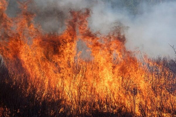 Pacific Northwest Residents Under Extreme Fire Danger