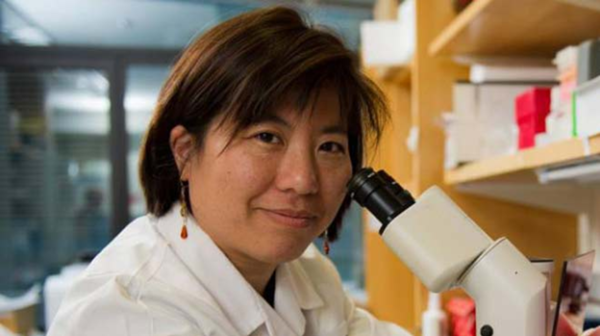 Dr. Catherine Wu wants to make Personalized Cancer vaccines Real