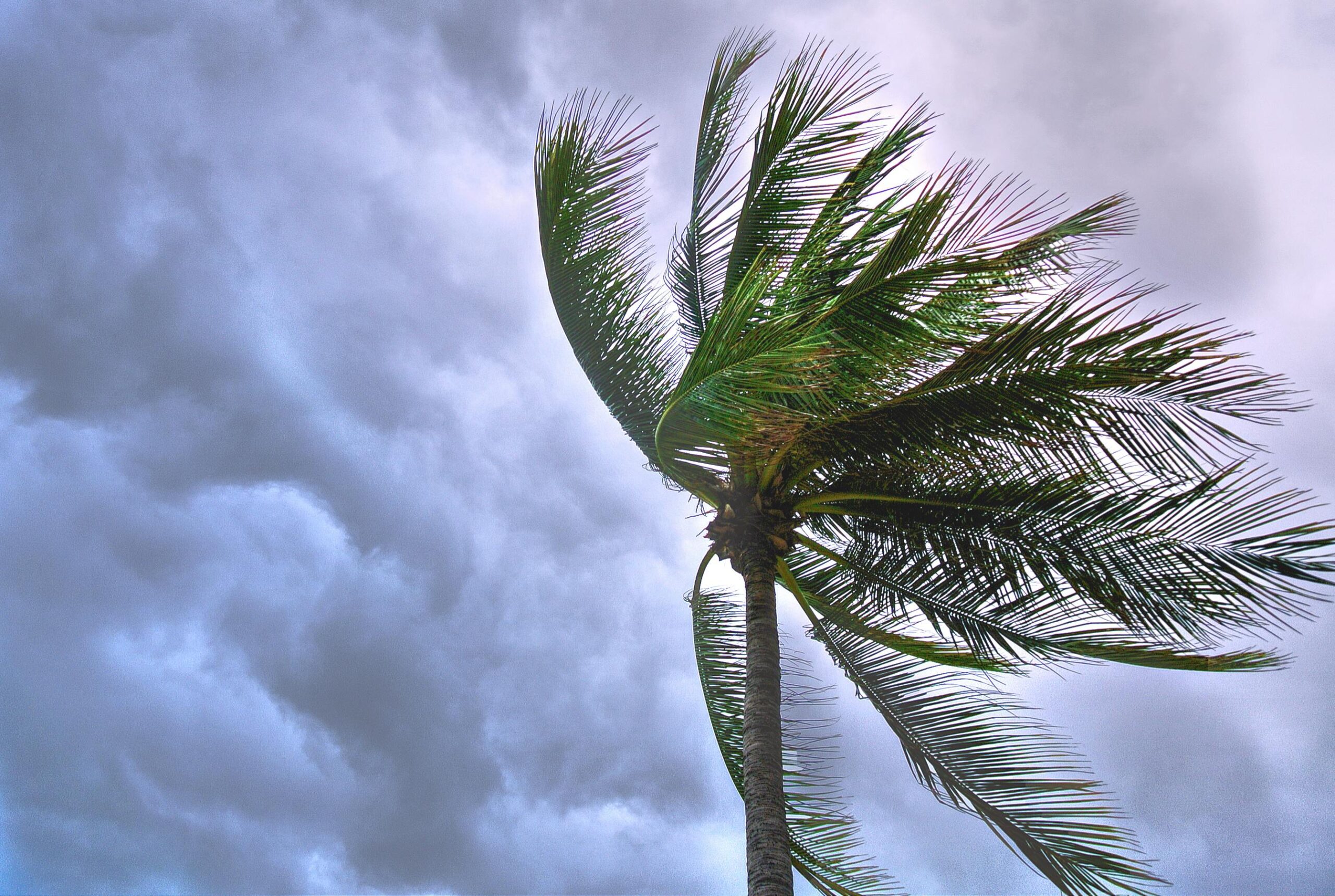 Tropical Storm Beryl Strikes Millions Losing Power