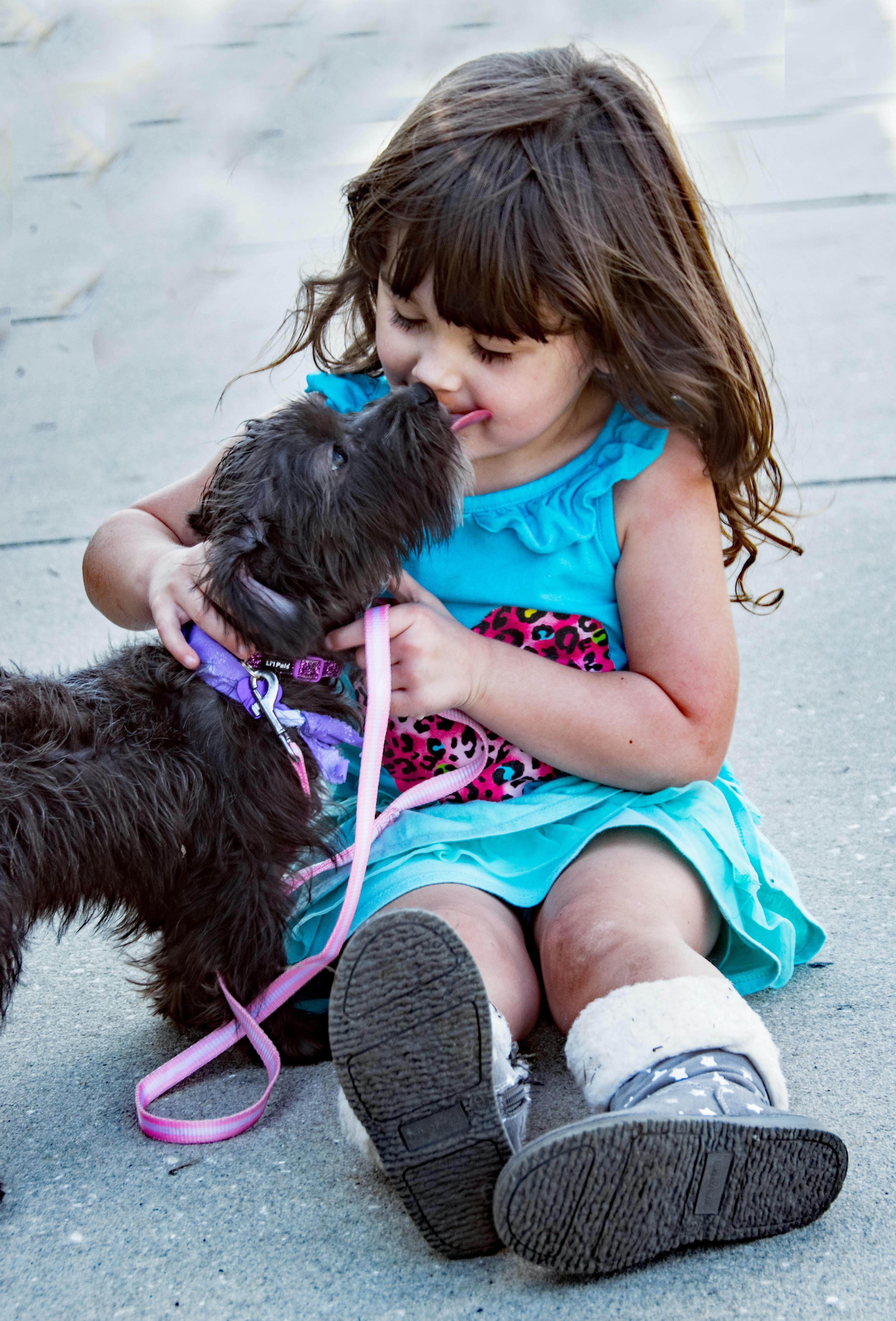 Pet Therapy Has Been Shown To Provide Emotional Support For Children