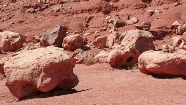 Rare Crystals Are Found By NASA Rover On Mars