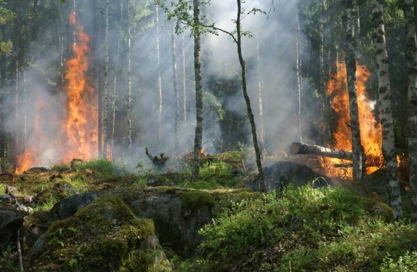 Pacific Northwest Faces Fire Risks as Wildfires Burn