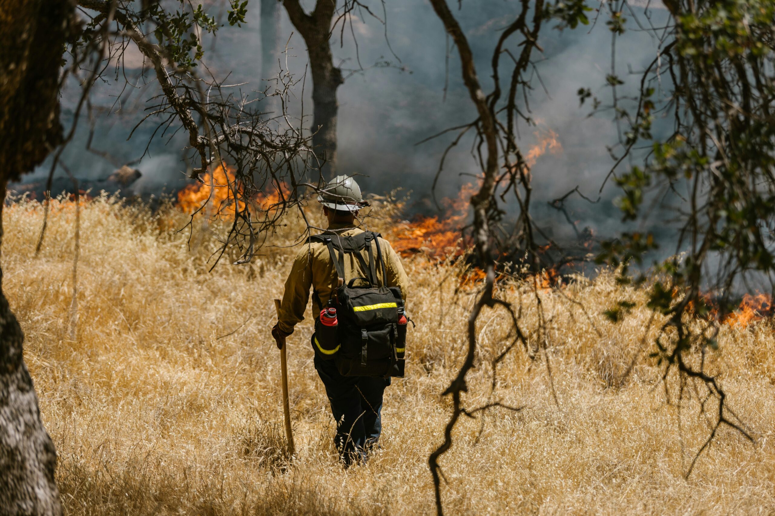 Oregon Wildfires Said to Have Been Human Caused