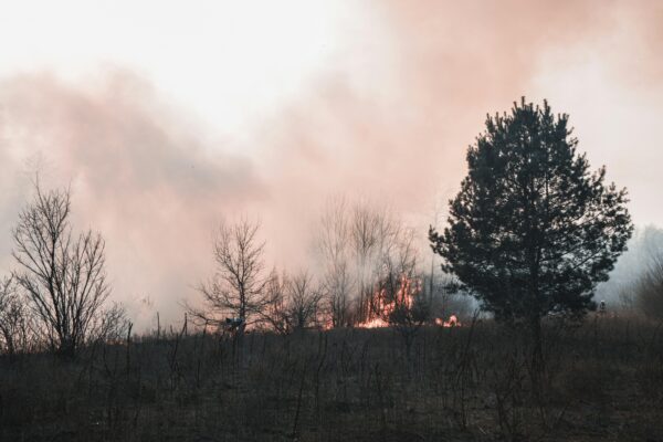 Pacific Northwest Wildfires