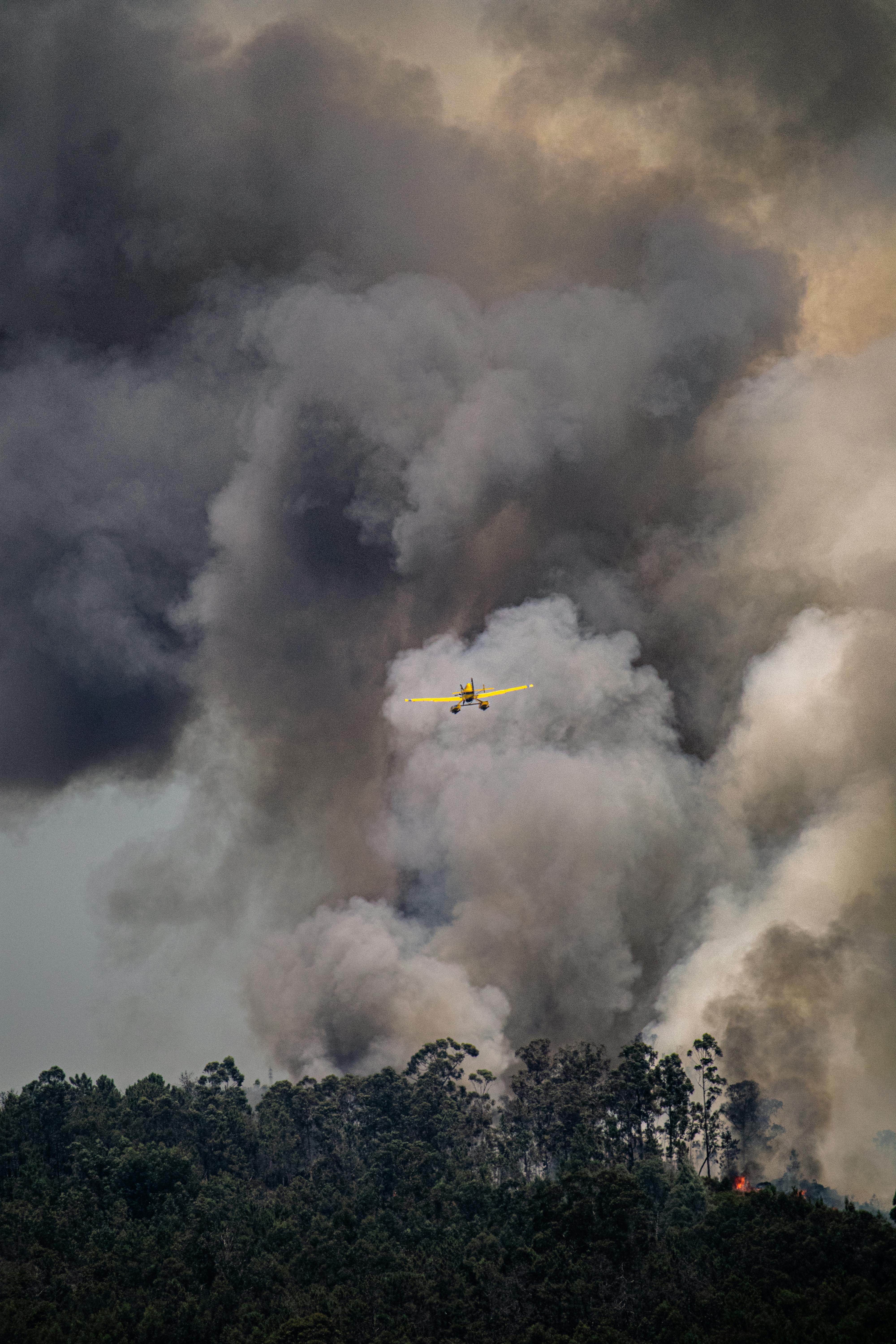 Wildfires Burn as Pacific Northwest Faces Fire Risks on Sunday