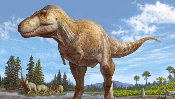 New Research on T–rex Claims It Is Much Bigger than Scientists Thought