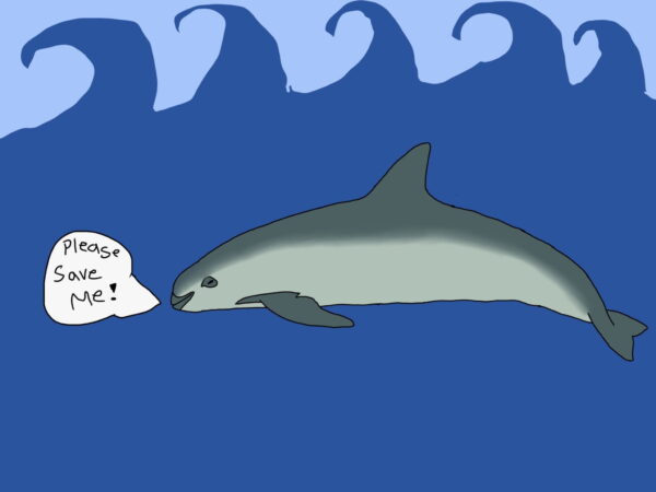 Save the Vaquita!