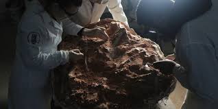 233-Million-Year-Old Dinosaur Fossil Unearthed in Brazil