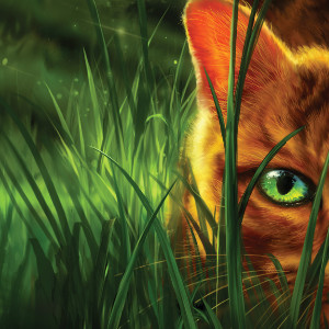 Warrior Cats: Final Book: The Darkest Hour