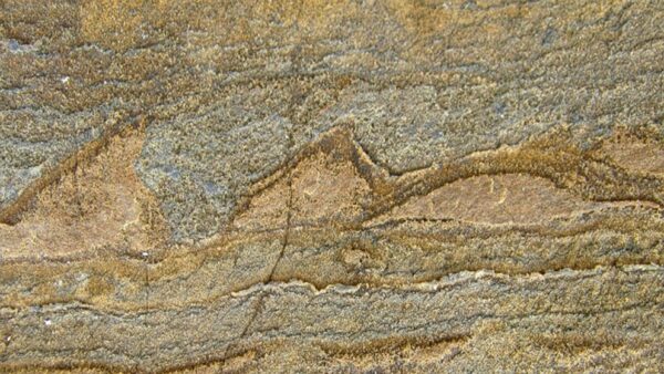 Oldest Fossil Ever Discovered