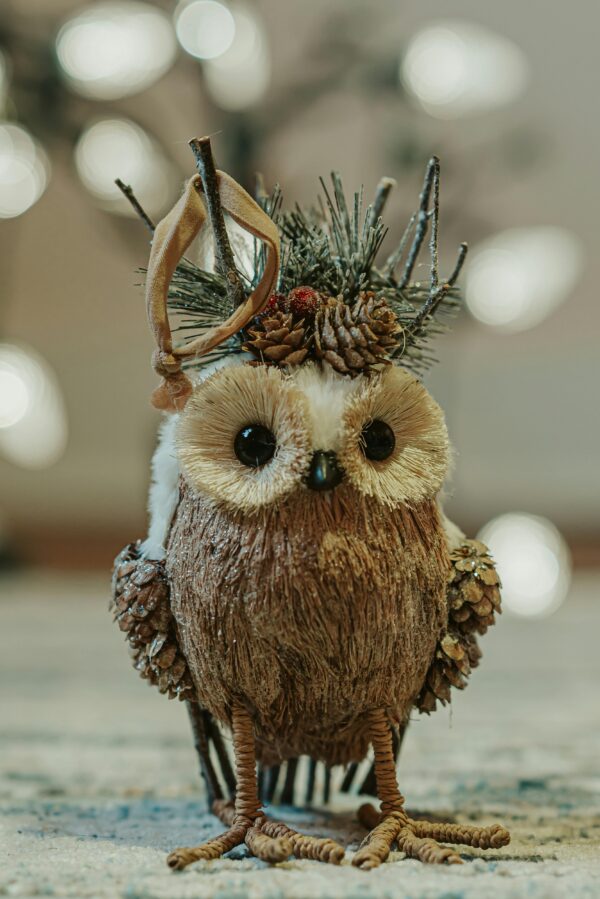 Squish Toy Owl Comes Alive